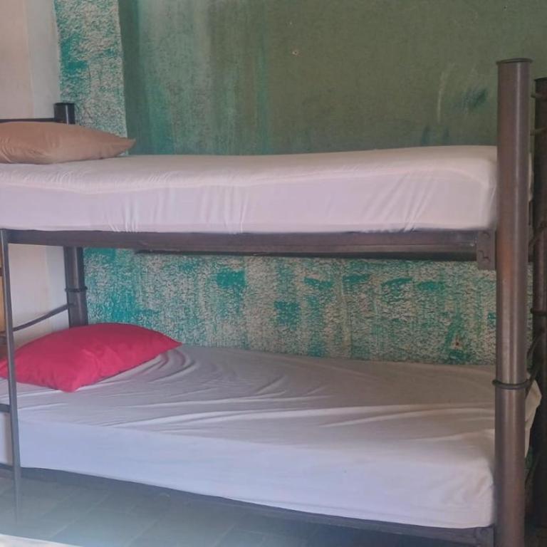 hostal la playa vallarta - Habitación compartida femenina de 4 camas - 2