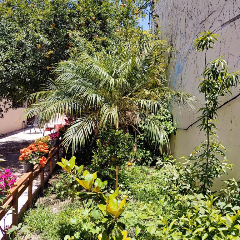 Casa de 1 Piso con Jardín cerca del aeropuerto CDMX 3 Recámaras y Parking - Ferienhaus mit 3 Schlafzimmern - 41