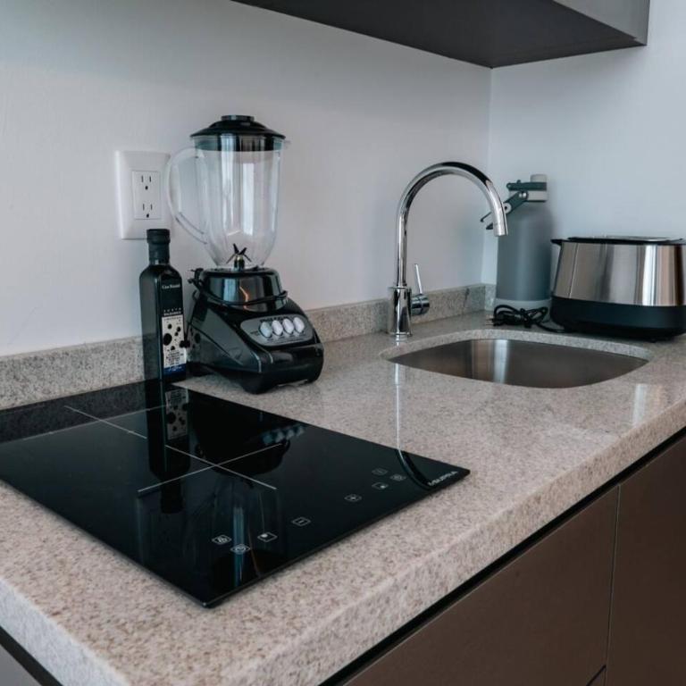 Condesa Residence - Roma Luxury Suite 302 - One-Bedroom Apartment - 24