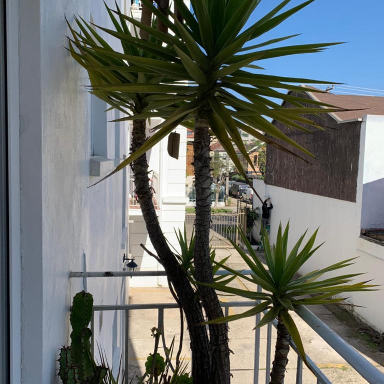 Departamento acogedor, céntrico y tranquilo - Apartamento de 3 dormitorios - 9