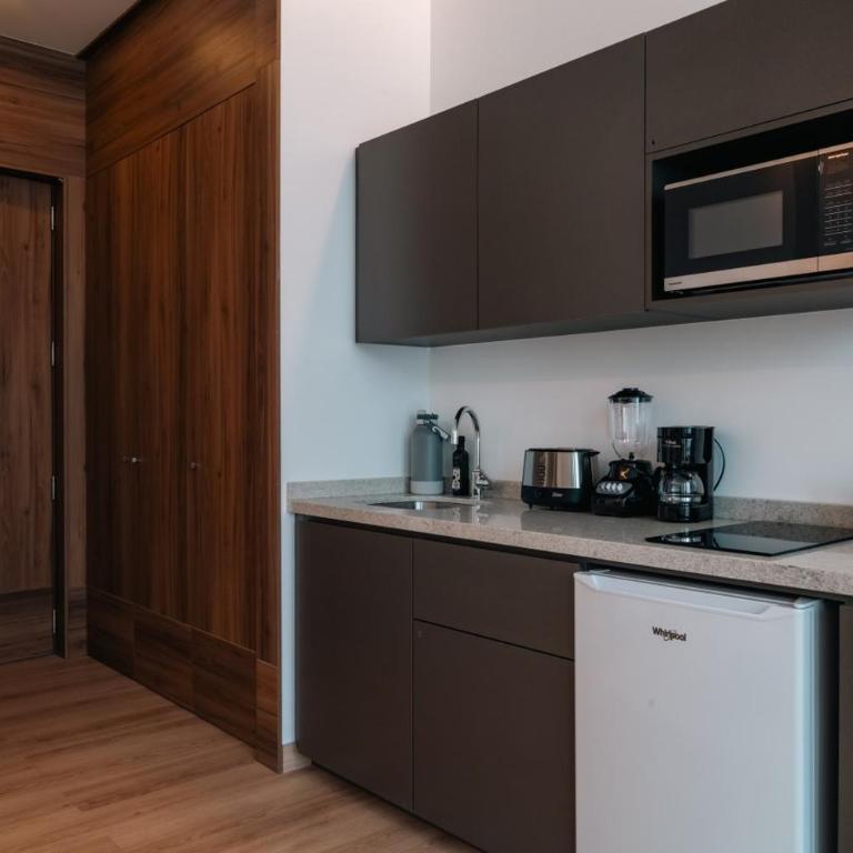 Condesa Residence - Roma Luxury Suite 304 - One-Bedroom Apartment - 60