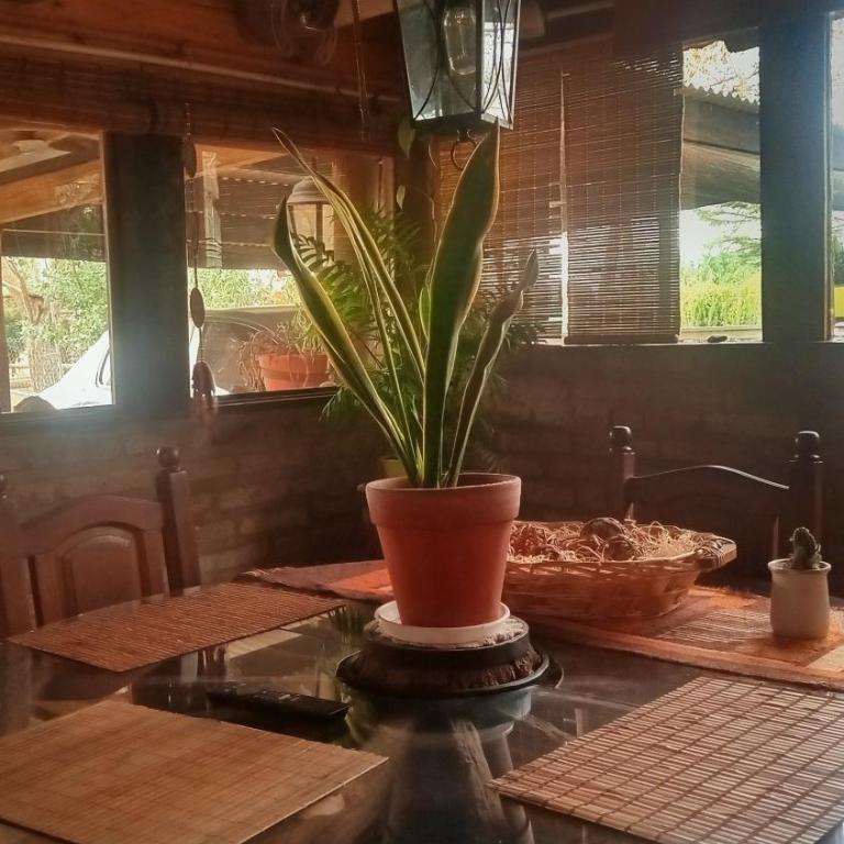 La Agraria - Apartamento de 1 dormitorio - 8