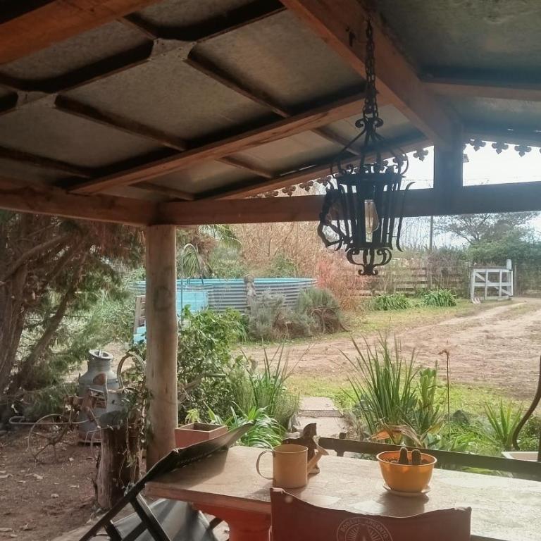 La Agraria - Apartamento de 1 dormitorio - 13