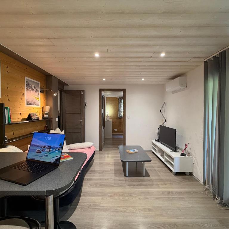 Source Olympique Alpes - Appartement 1 Chambre - 4