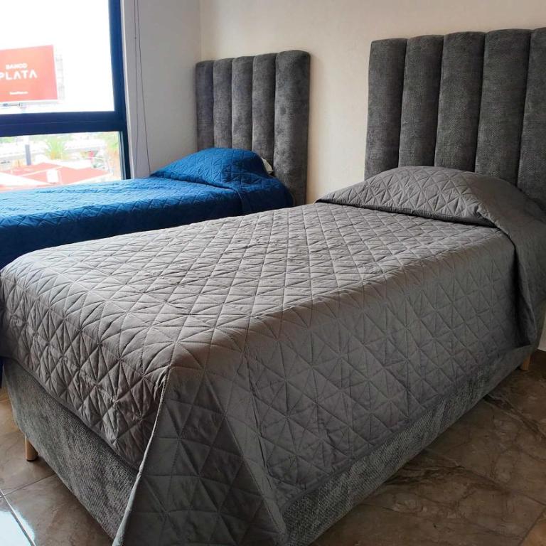 Avenida Francisco Silva Romero 349 - Apartamento - 61
