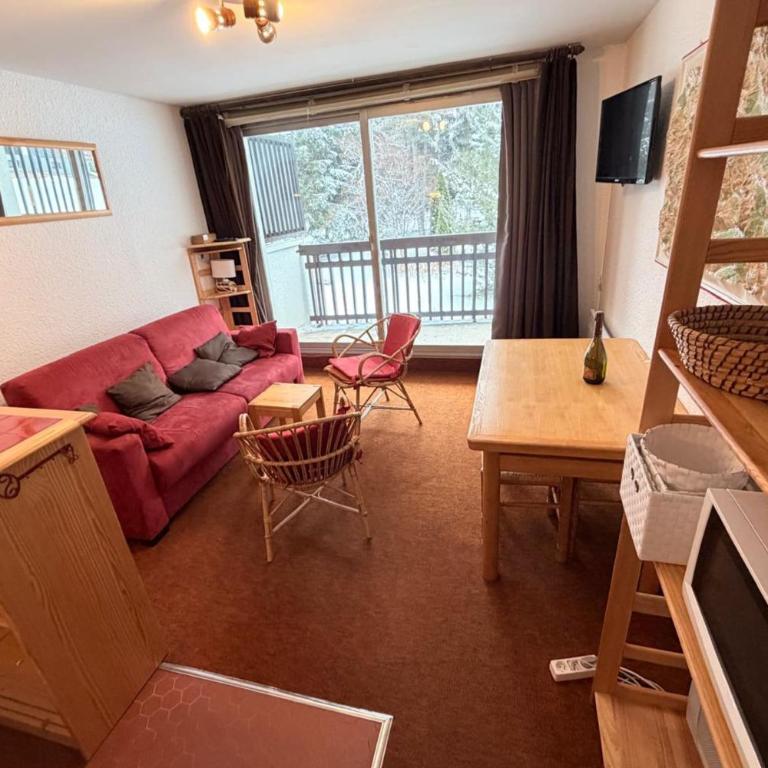 Studio tout confort au pied des pistes de ski - Studio - 24