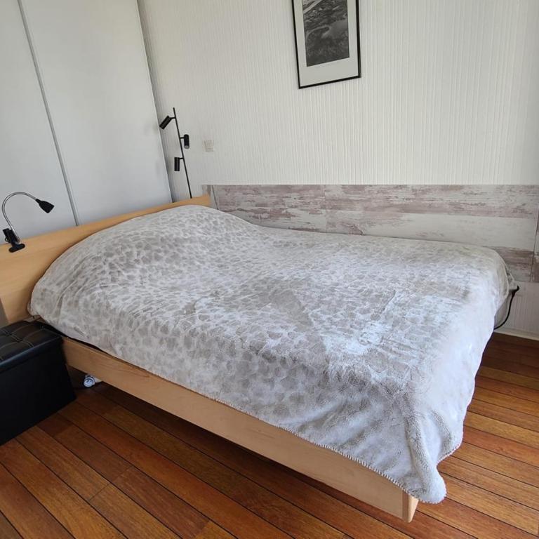 Charming apartment 20 m from the beach in Arcachon - Apartment - 11