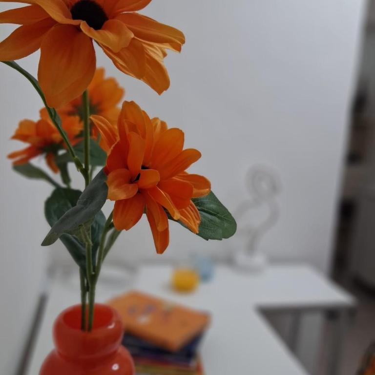 Leolù Home - Two-Bedroom Apartment - 15