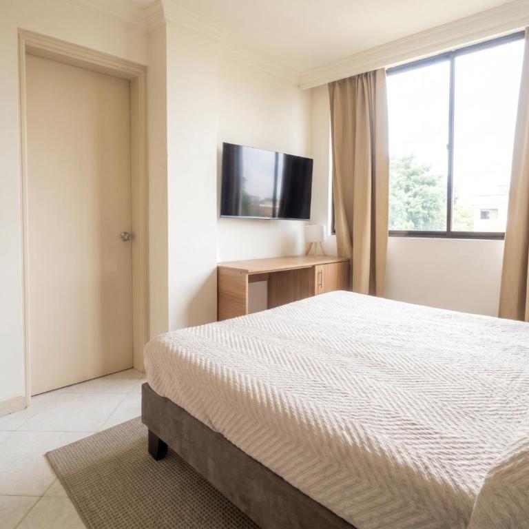 Edificio San Fernando - Habitación Grande con Terraza - One-Bedroom Apartment - 5