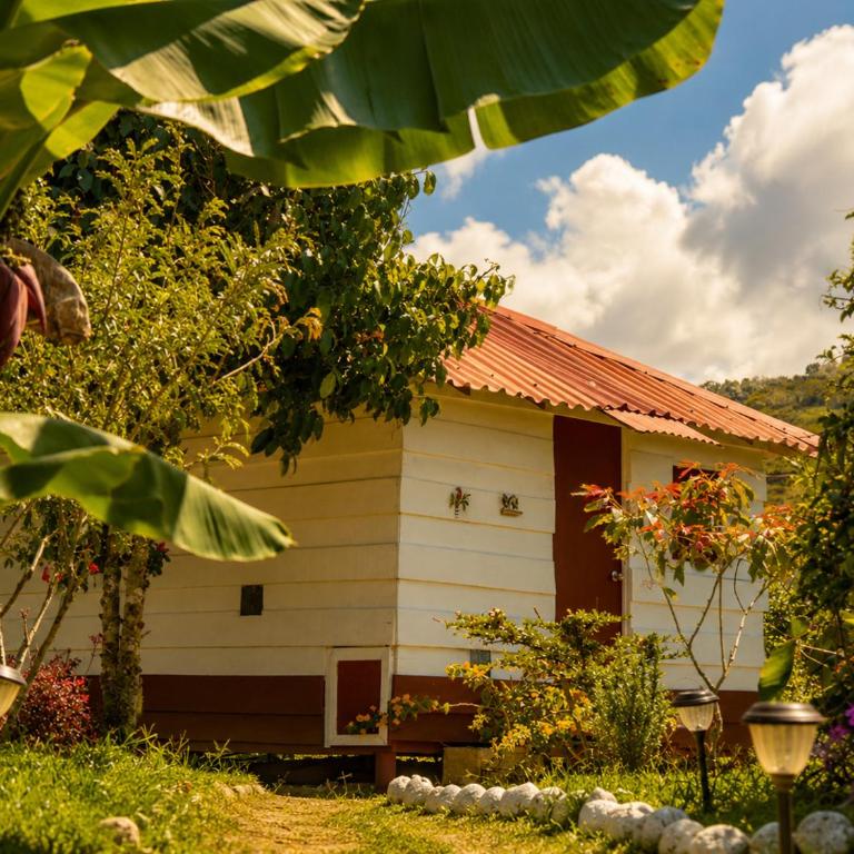 Ecohotel El Amarradero - Cabaña con vistas al jardín - 1