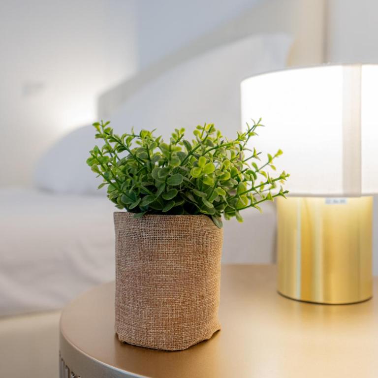 VivimiHome- D'alviano House - Appartamento con 1 Camera da Letto - 4