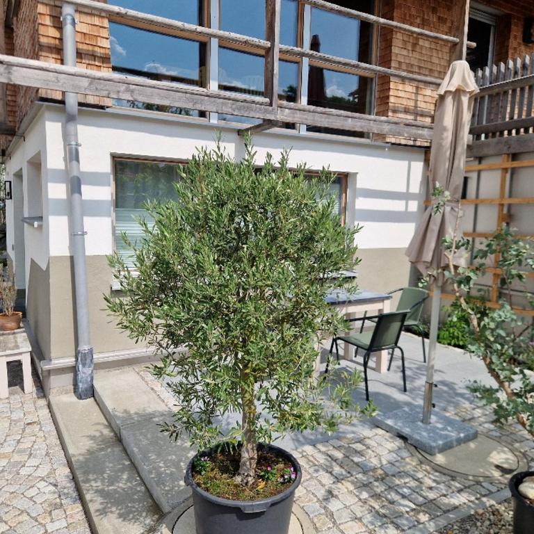Chalet Buron 7 - Apartment mit 1 Schlafzimmer - 9