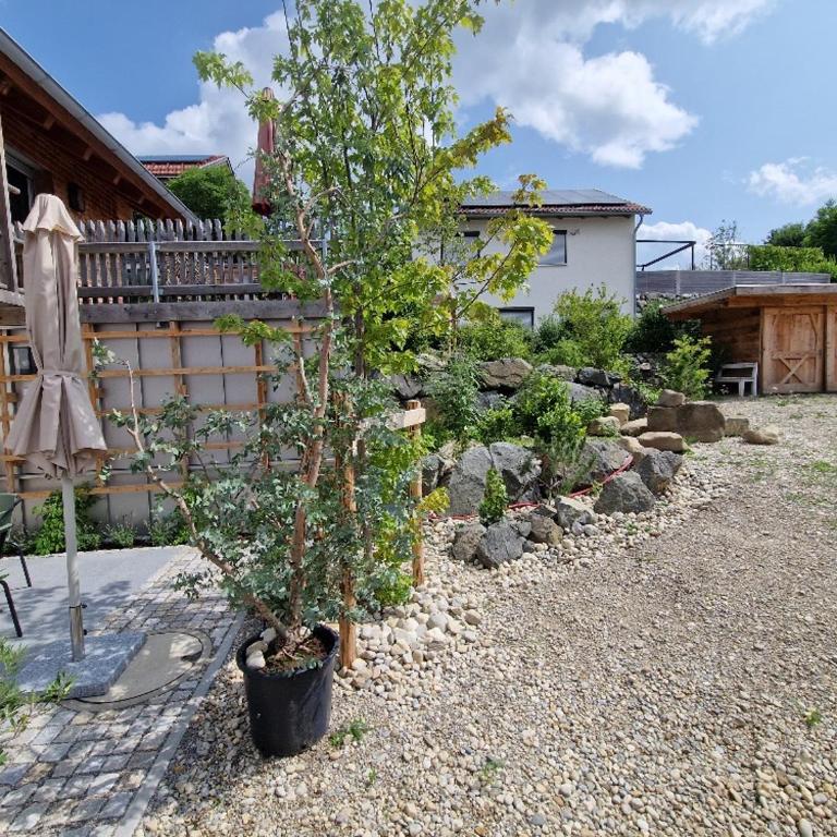 Chalet Buron 7 - Apartment mit 1 Schlafzimmer - 14