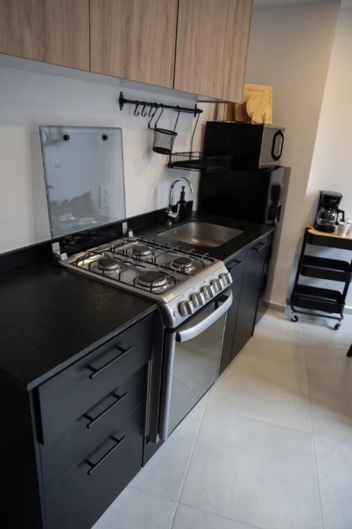 Villadhara Centro GDL - Appartement en Duplex - 5