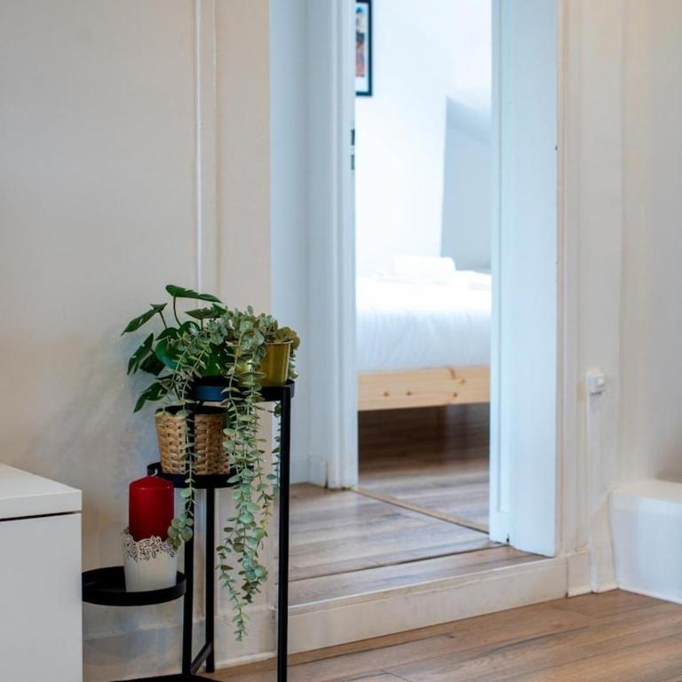 Le Bleuet - Appartement - Quartier Des Halles - Appartement 2 Chambres - 17
