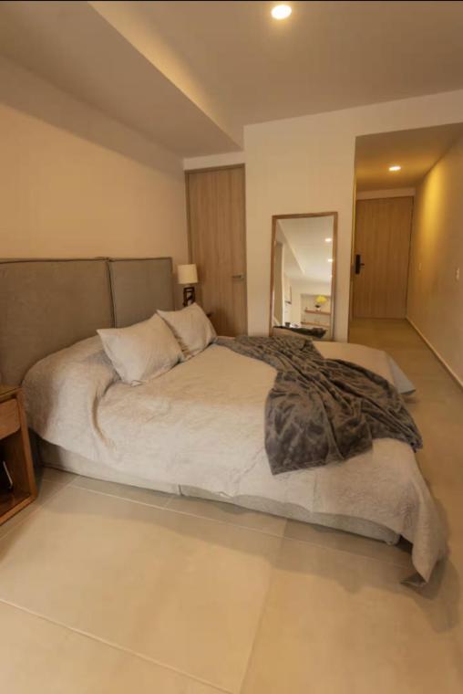 Villadhara Centro GDL - Appartement 1 Chambre - 10
