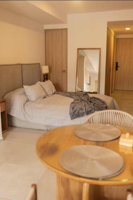 Villadhara Centro GDL - Appartement 1 Chambre - 11