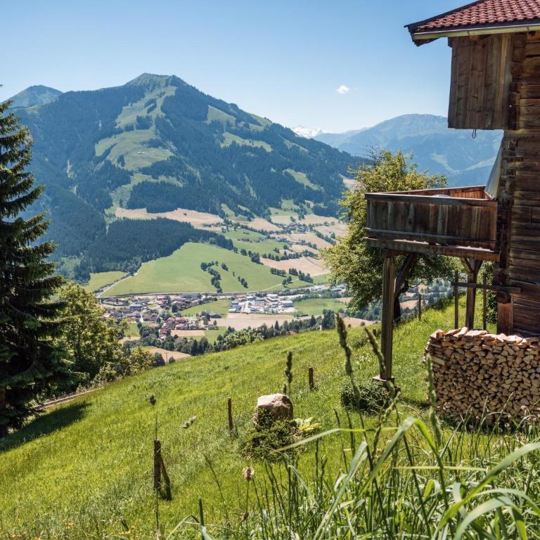 Apartment in Brixental near Hiking Trails - Apartment mit 4 Schlafzimmern - 19