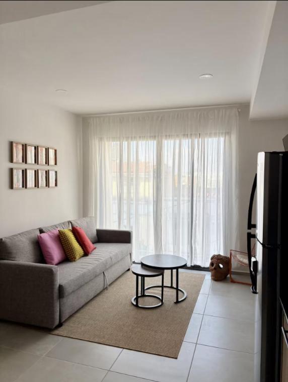 Villadhara Centro GDL - Appartement - 1