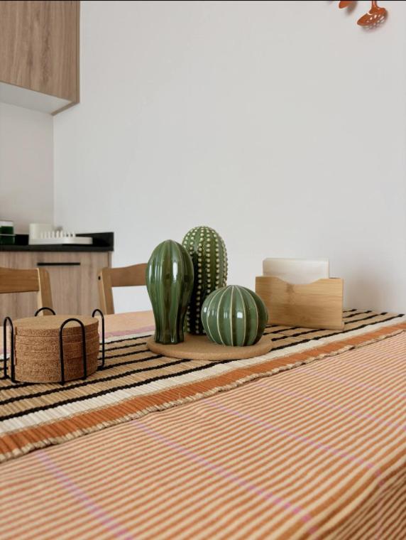 Villadhara Centro GDL - Appartement - 7