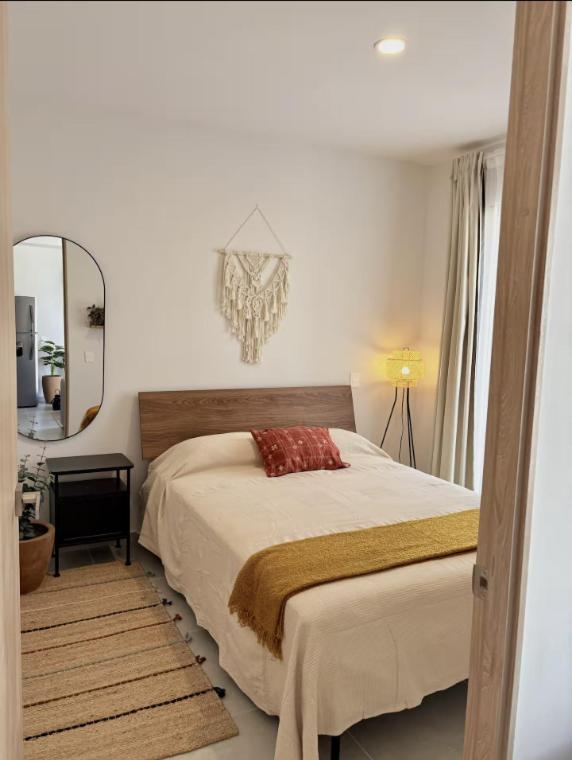 Villadhara Centro GDL - Appartement - 14
