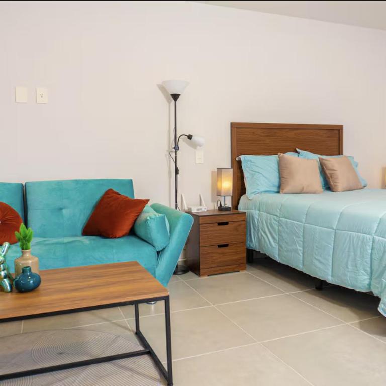 Villadhara Centro GDL - Appartement - 3
