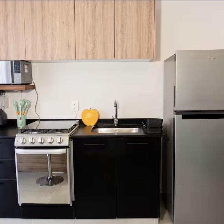 Villadhara Centro GDL - Appartement - 5