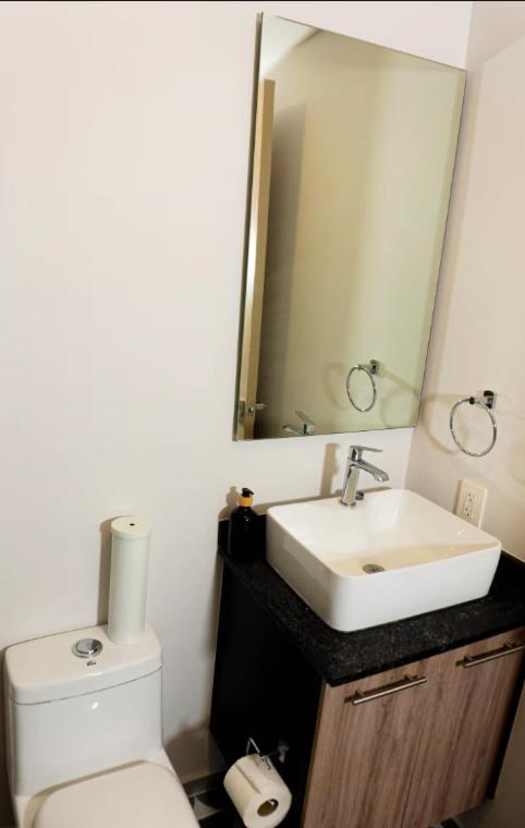 Villadhara Centro GDL - Appartement - 12