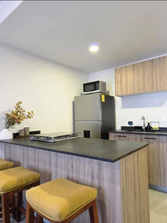 Villadhara Centro GDL - Appartement 1 Chambre Deluxe - 7