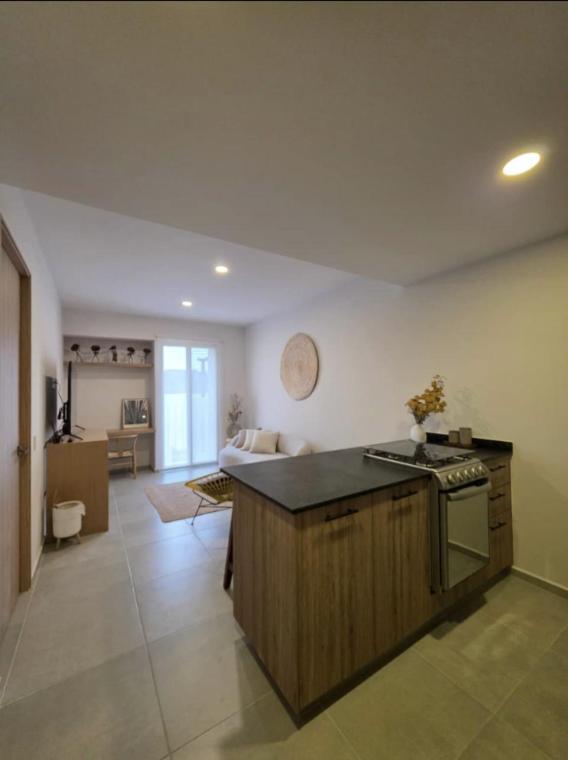 Villadhara Centro GDL - Appartement 1 Chambre Deluxe - 9