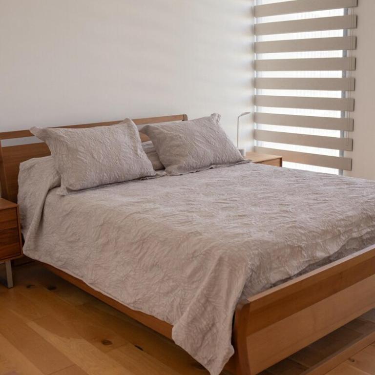 MrW Modern 2 bedroom apartment in Providencia - Apartamento de 2 dormitorios - 68