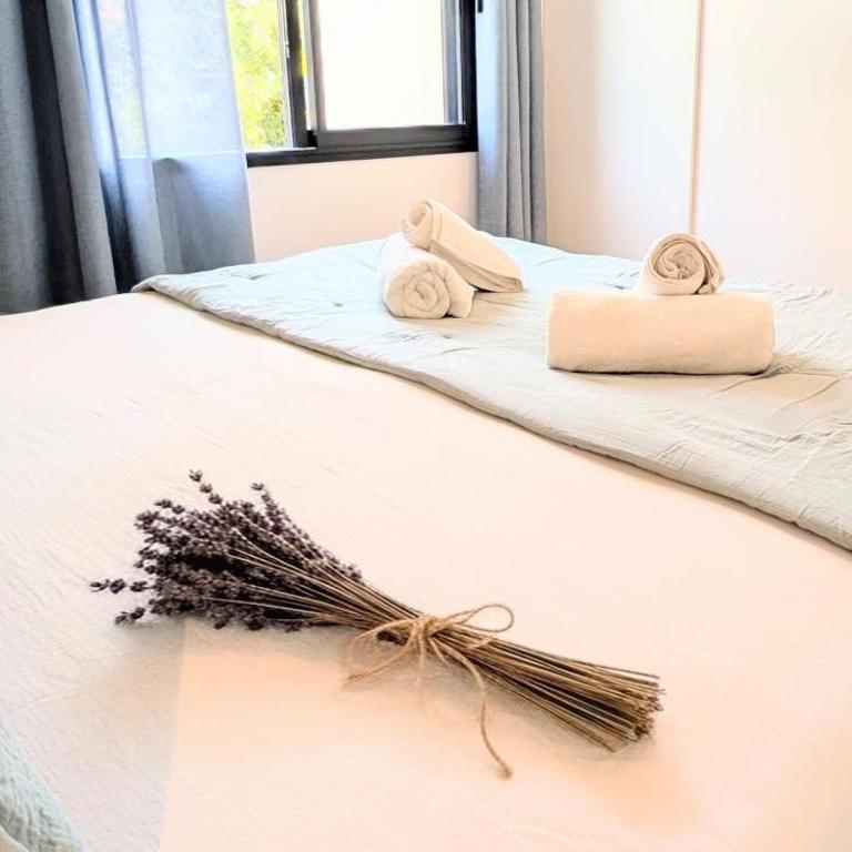 Lodge Luberon - Jacuzzi privatif illimité - À 15 min à pied centre de L'Isle-sur-la-Sorgue - 2 vélos à disposition - Clim, Parking privé, WiFi, linge et ménage inclus - Maison 1 Chambre - 10