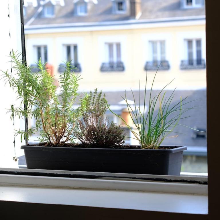 Appart de Loic Rio contrat social Rouen - Appartement 2 Chambres - 21