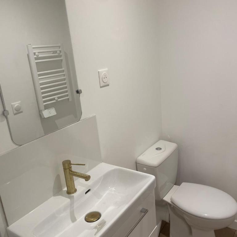 La Lucarne Royale - Appartement 1 Chambre - 14
