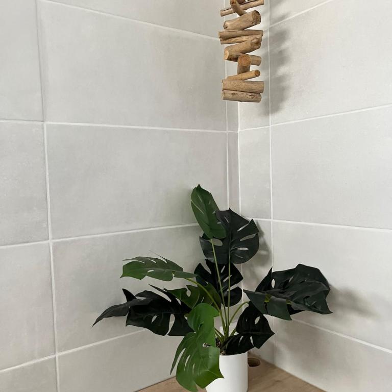 Héron - Maison 1 Chambre - 21