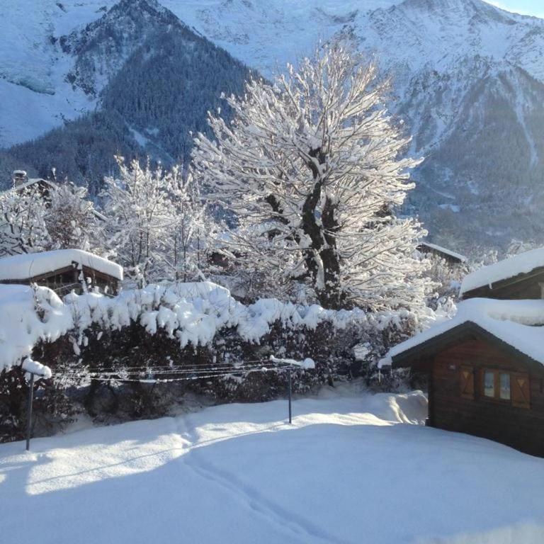 Apartment with panoramic view in Chamonix - Appartement 3 Chambres - 15