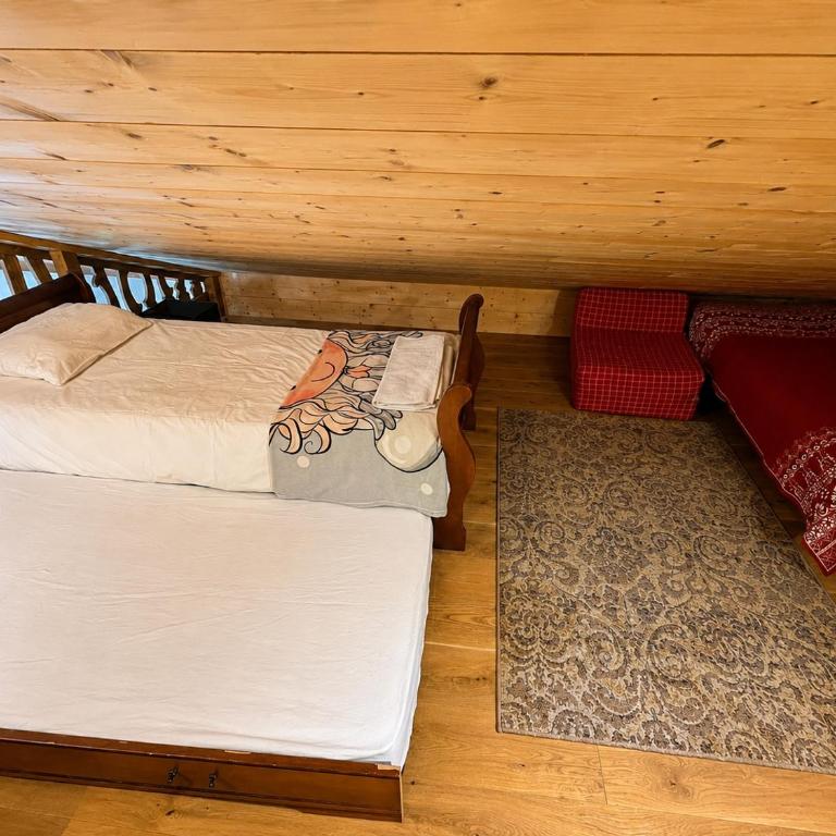 Les 3 Marmottes - Praz de Lys - Appartement 3 Chambres avec Vue sur la Montagne - 17