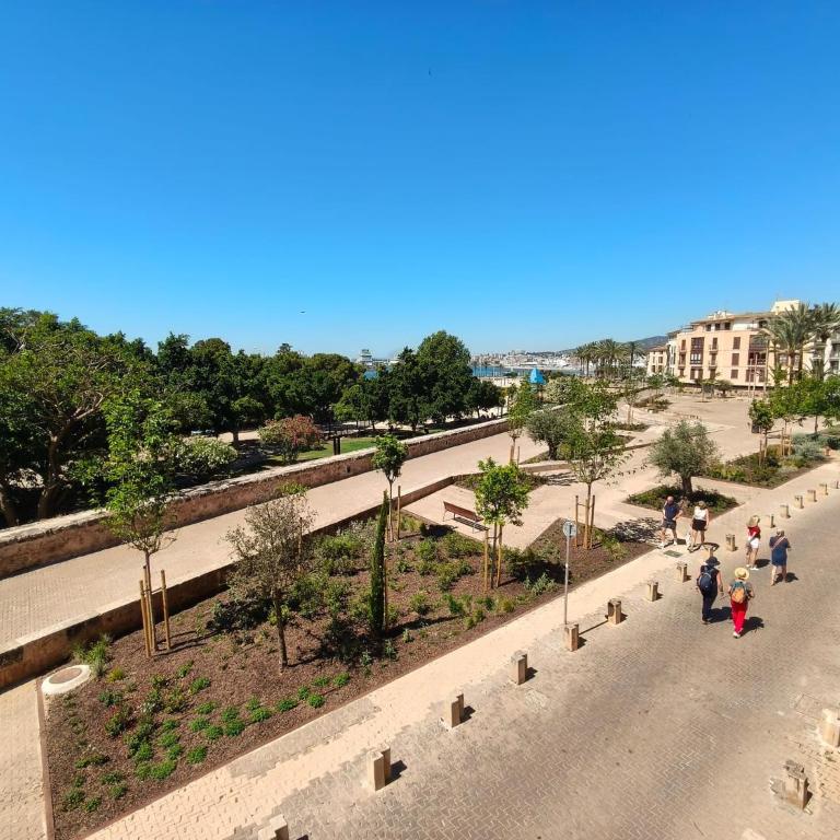 DALT MURADA APARTMENT minimum stay 31 nights - Apartamento Deluxe de 2 dormitorios - 5