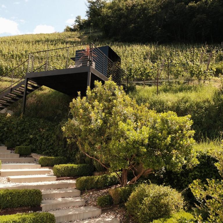 Wine Lodge Pratenberg - Appartamento Superior con 1 Camera da Letto e Balcone - 8
