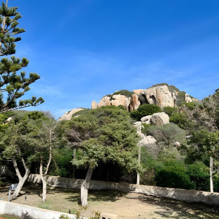 Villetta fronte mare a S. Reparata - Casa con 2 Camere da Letto - 22