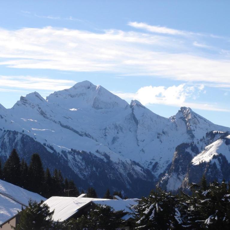 Location meublé Manigod - Col de merdassier - Appartement 1 Chambre - 9