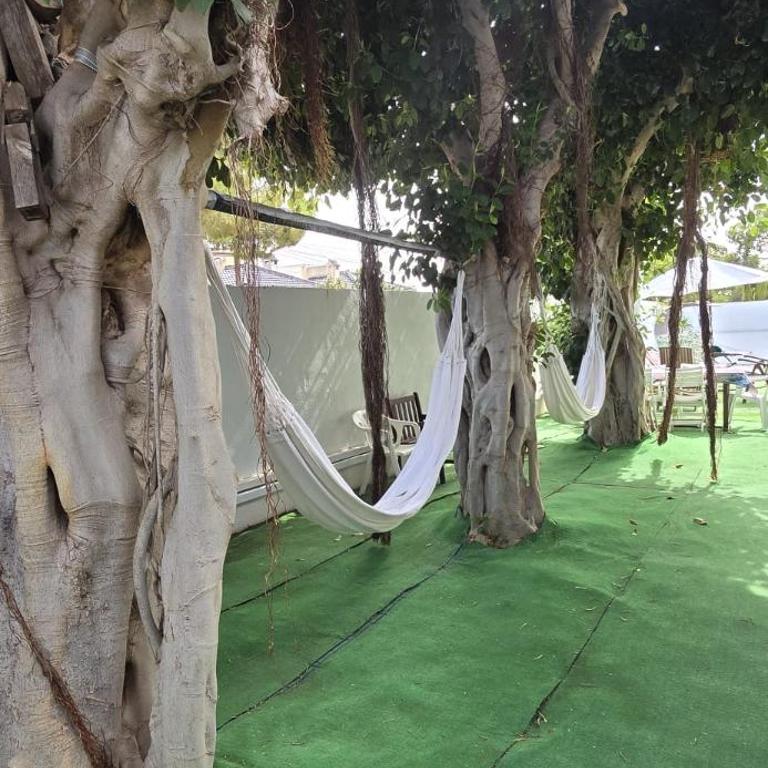 Noa - Three-Bedroom House - 29