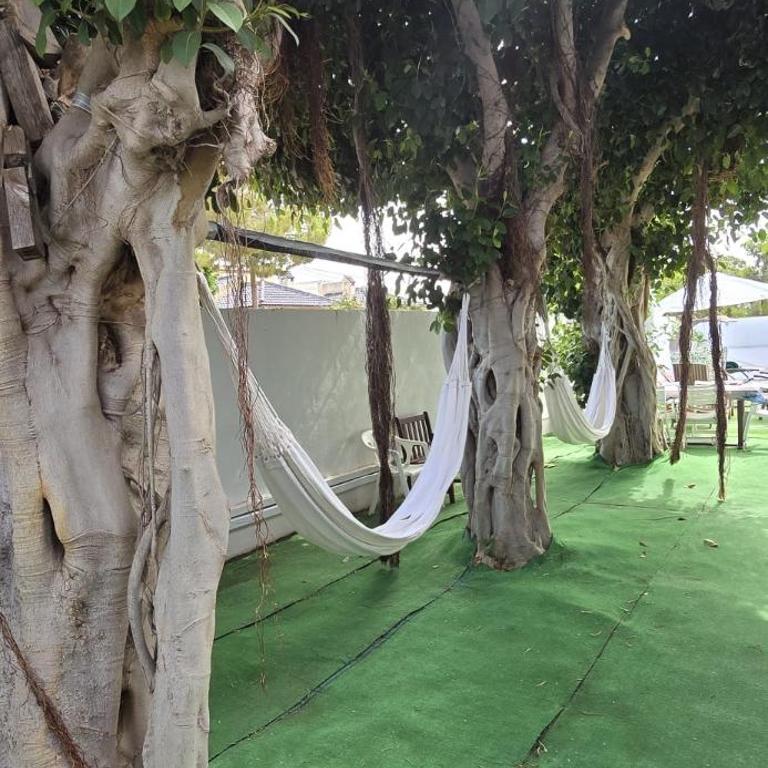 Noa - Three-Bedroom House - 30