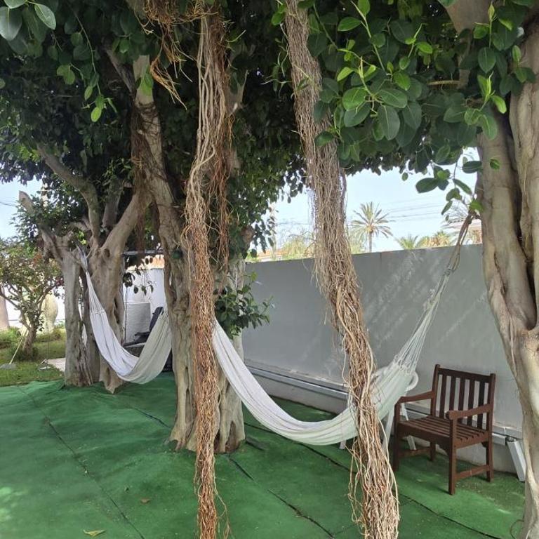 Noa - Three-Bedroom House - 31