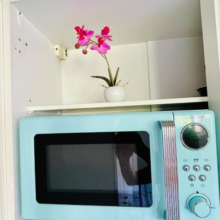 Bright studio, private parking, downtown within walking distance - Appartement 1 Chambre - 9