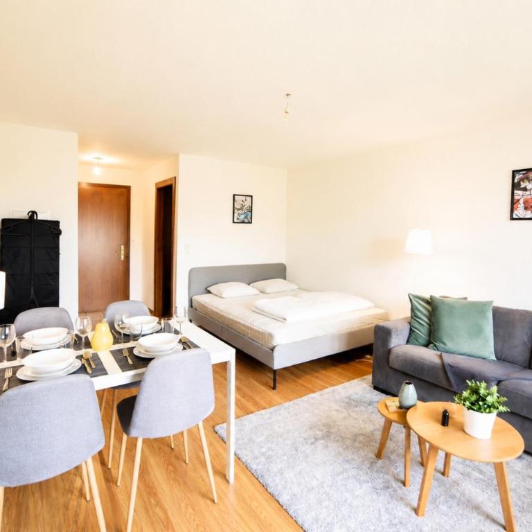 Charming and comfortable studio ideally located in Saillon - Apartment mit 1 Schlafzimmer - 4