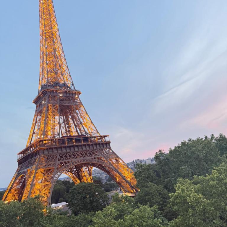 Tour Eiffel view - Appartement 1 Chambre - 1