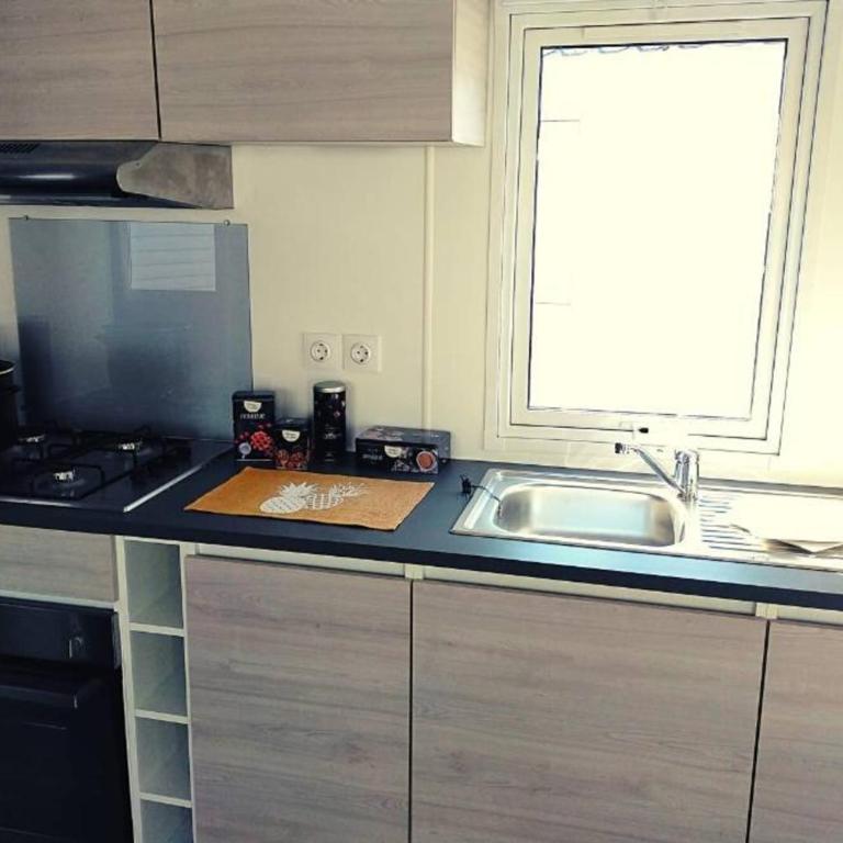Mobilhome 2 chambres 2 SDB - Bungalow - 5