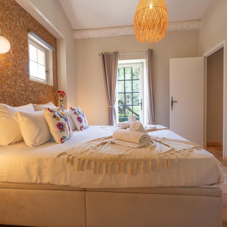Grande Villa avec Piscine - Villa - 49