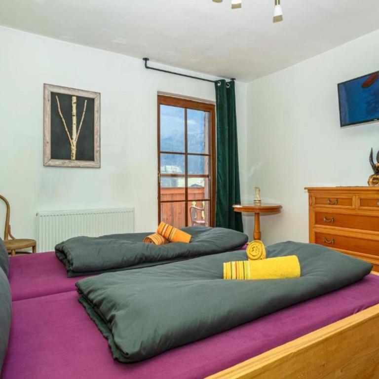 Holiday apartment on a farm with outdoor whirlpool - Appartement 4 Chambres - 21
